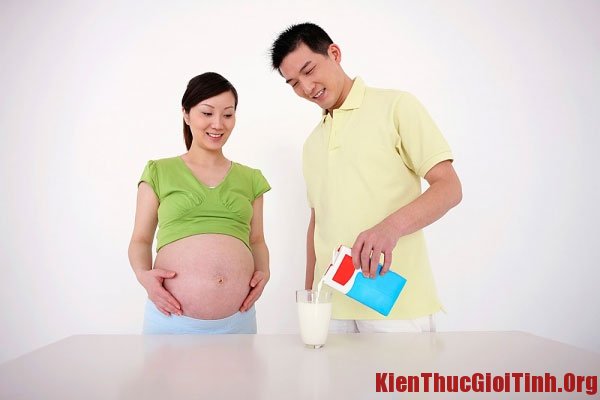 Mang thai nên uống loại sữa nào tốt?
