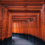 Đền ở Kyoto Nhật Bản