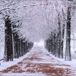 Du lịch Seoul vào mùa đông